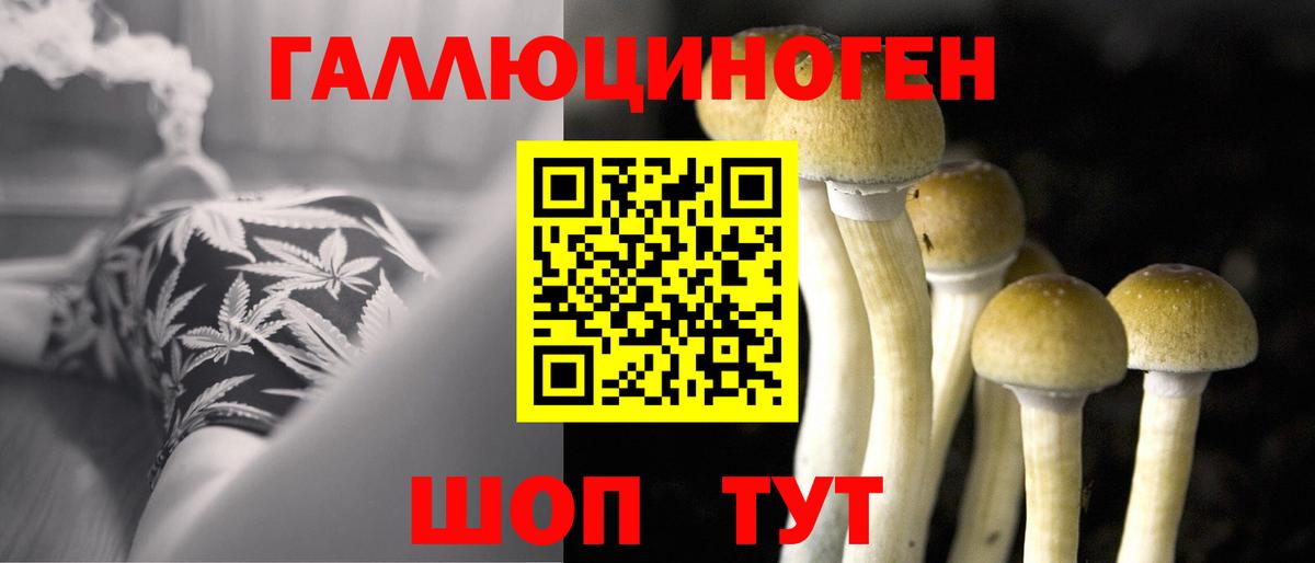 Новоалександровск  Галлюциногенные грибы Psilocybe  Вход с VPN 